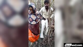 Desi bhauji caught fucking in sugarcane field